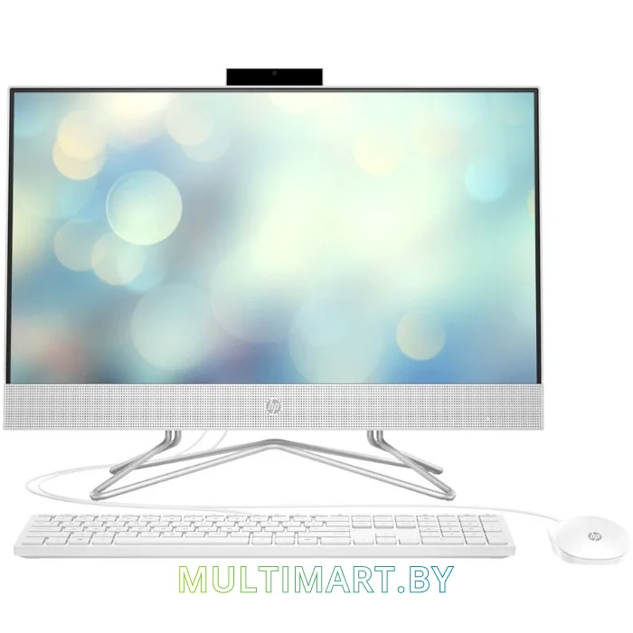 Моноблок HP 24-df0031ur (14Q02EA)